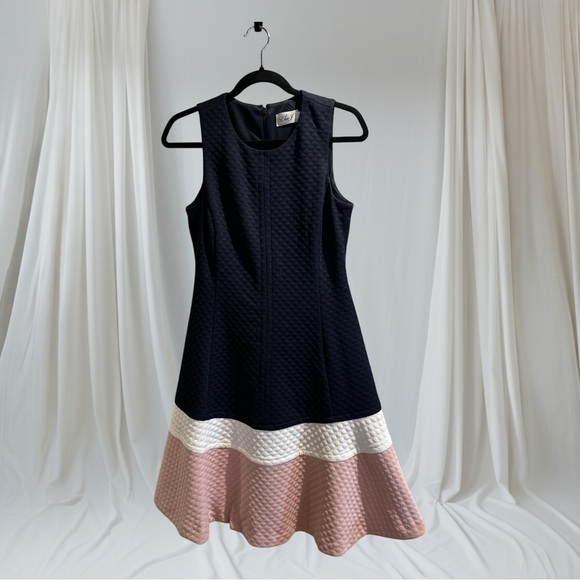 Eliza J Dresses & Skirts - Eliza J Black and Pink Colorblock Midi Dress